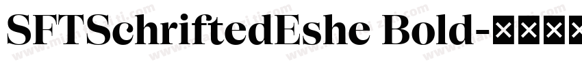 SFTSchriftedEshe Bold字体转换